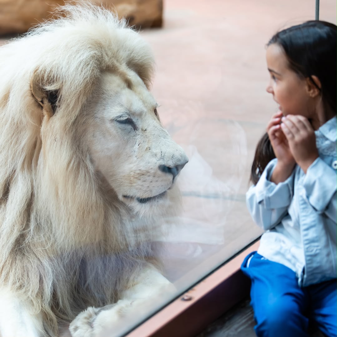 Animals & Wildlife